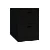 Longlife B4-2BLK Vertical Cabinet