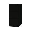 Longlife B4-3SBLK Vertical Cabinet