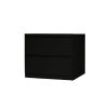Longlife CD-2SBLK Lateral Cabinet