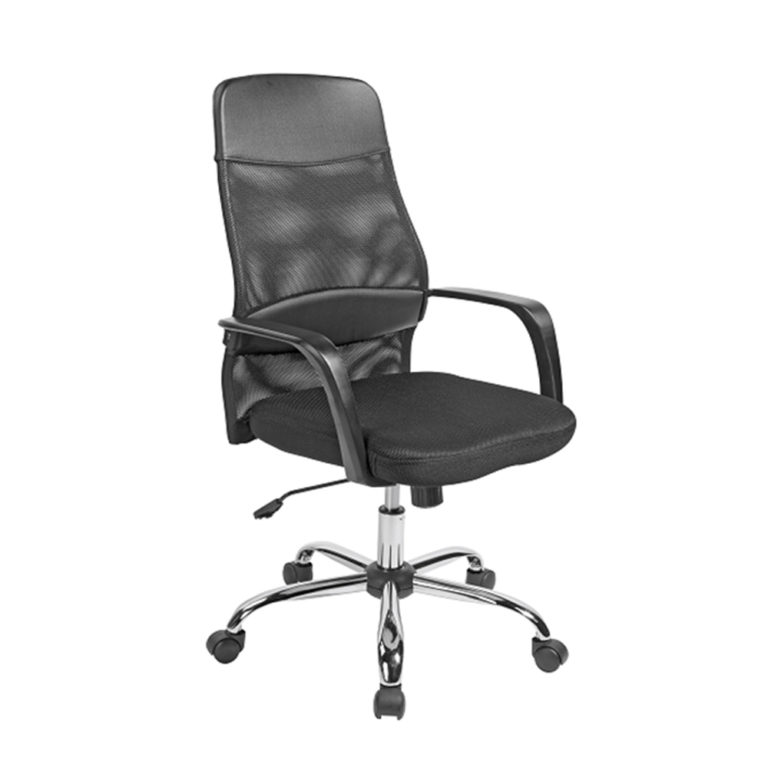 Ergodynamic W1281 Executive High Back Mesh Chair with Lumbar support