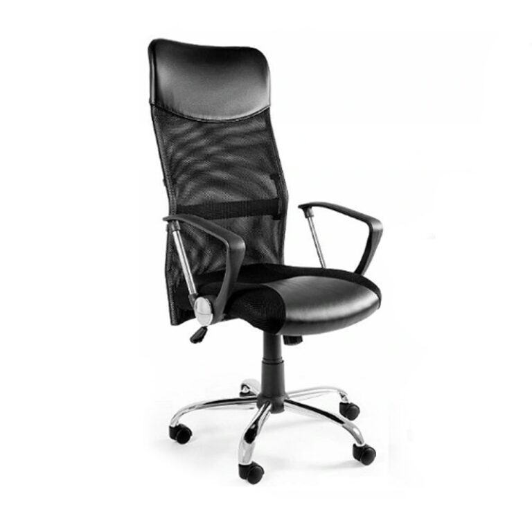 Ergodynamic KING Executive Premium High Back Mesh Chair, pneumatic