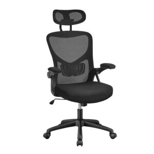 Ergodynamic EHC-208 Executive Premium High-back Mesh Chair