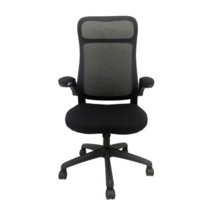 Ergodynamic EHC-210 Executive Premium High-back Mesh Chair