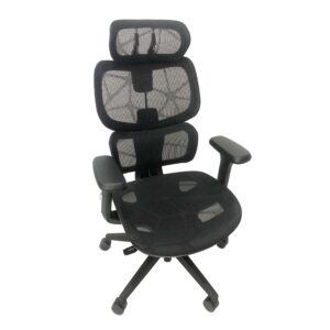 Ergodynamic HUMAN V8.0 Human Hybrid Korean Mesh Chair with Adjustable Headrest