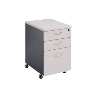 Ergodynamic WPBRG MFC Mobile Pedestal with casters