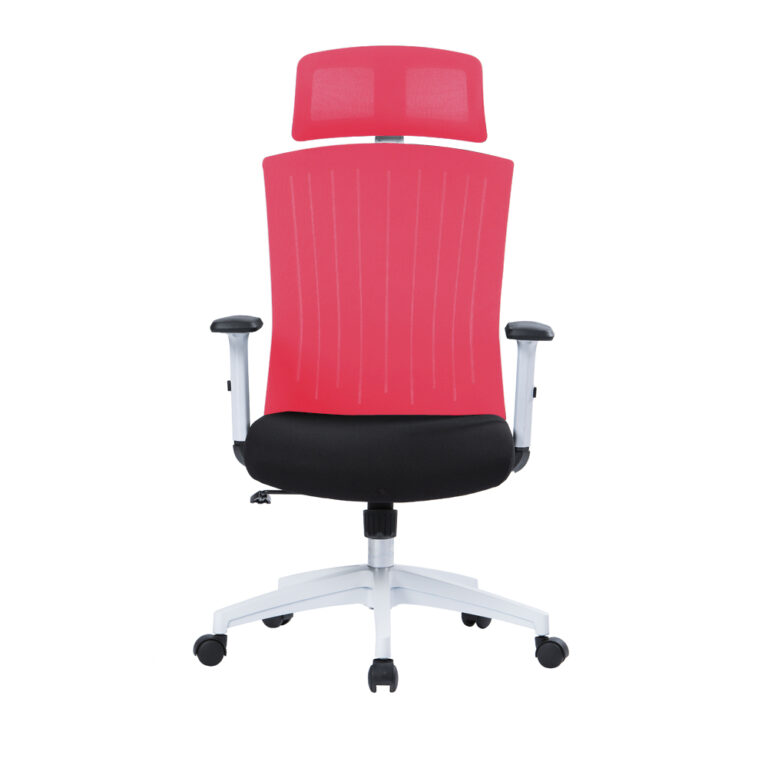 Ergodynamic AIR 2.0 Mesh Chair, Nylon base with PU casters Cost U