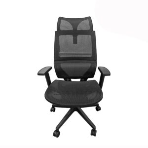 Ergodynamic HUMAN V7.0 Human Hybrid Korean Mesh Chair with Adj Headrest