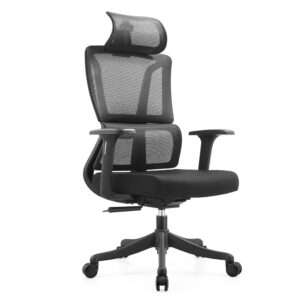 Ergodynamic HUMAN V9.0 Human Korean Mesh Chair with Adjustable Headrest