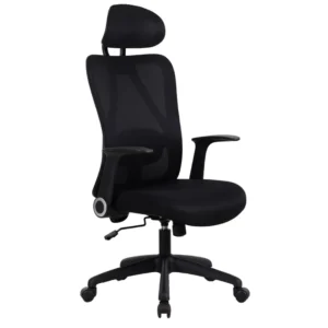 Ergodynamic HOUSTON Executive Premium High-back Mesh Chair