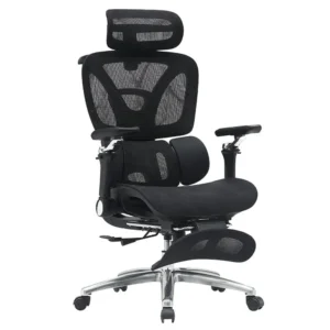 Ergodynamic HUMAN V11 Human Hybrid Korean Mesh Office Chair